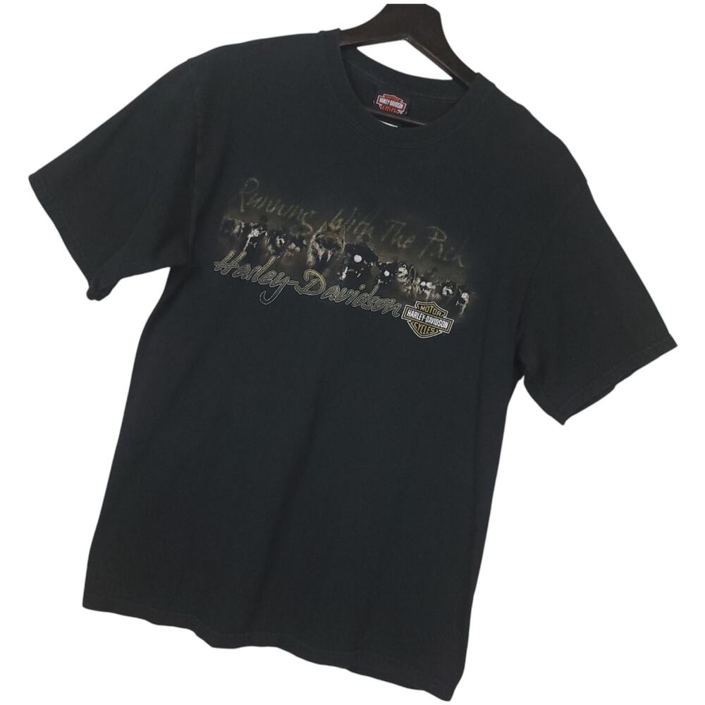 Harley Davidson Running With The Pack Smokey Mountains Tennessee Vtg T-Shirt M